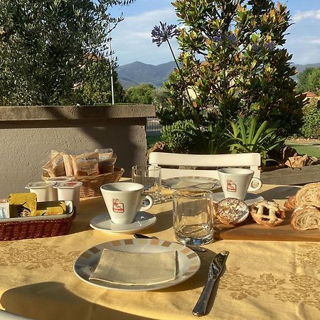 Villa Orsini - A Retreat In Pisa - Food And Relax Luaran gambar