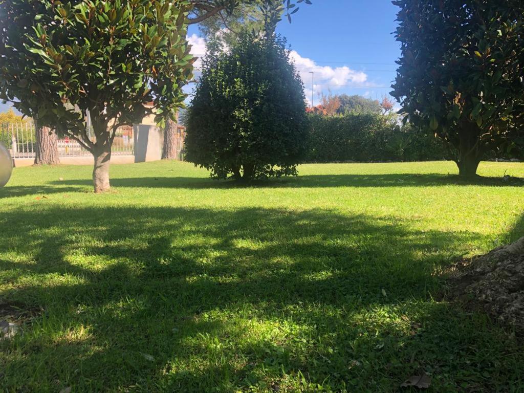 Villa Orsini - A Retreat In Pisa - Food And Relax Luaran gambar